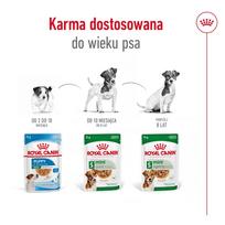 royal canin shn - Šlapias šunų maistas Royal Canin SHN MINI ADULT WET, kalakutiena, 12 x 85 g - 5 nuotrauka