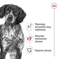 canin royal canin 10 kg - Šlapias šunų maistas Royal Canin Medium Adult Chunks in Gravy, 0.14 kg - 4 nuotrauka