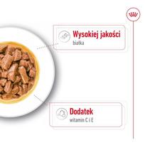 canin royal canin 10 kg - Šlapias šunų maistas Royal Canin Medium Adult Chunks in Gravy, 0.14 kg - 6 nuotrauka