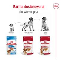 canin royal canin 10 kg - Šlapias šunų maistas Royal Canin Medium Adult Chunks in Gravy, 0.14 kg - 7 nuotrauka