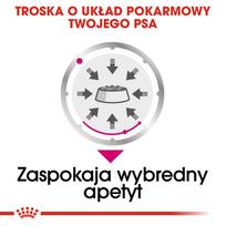 royal canin exigent - ROYAL CANIN Exigent šlapias maistas paštetas suaugusiems šunims 12x85 g - 4 nuotrauka