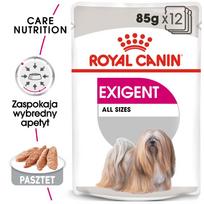 royal canin exigent - ROYAL CANIN Exigent šlapias maistas paštetas suaugusiems šunims 12x85 g - 6 nuotrauka