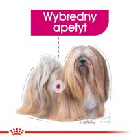 royal canin exigent - ROYAL CANIN Exigent šlapias maistas paštetas suaugusiems šunims 12x85 g - 7 nuotrauka
