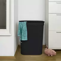 plastikines dezes - Plastikinis skalbinių krepšys 50 l Brisen - Rotho - 4 nuotrauka