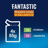 felix fantastic - Šlapias kačių maistas Purina Felix Fantastic, ėriena/triušiena, 0.085 kg, 4 vnt. - 9 nuotrauka
