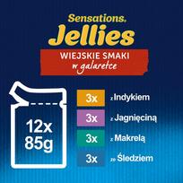 felix sensations - Šlapias kačių maistas Felix Sensations Mix Turkey, Mackerel, Lamb, Herring, 12 vnt. x 1.02 kg - 10 nuotrauka