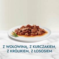 purina gourmet - Purina su jautiena, vištiena, triušiena ir lašiša, 60 x 85 g - 7 nuotrauka