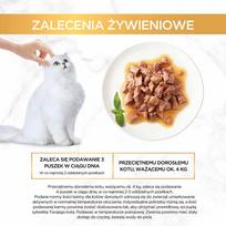 gourmet gold vistiena - Gourmet Gold Sauce Delights Chicken, 0.085 kg - 8 nuotrauka