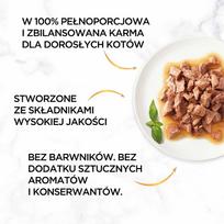 gourmet gold vistiena - Gourmet Gold Sauce Delights Chicken, 0.085 kg - 9 nuotrauka