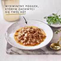 gourmet gold vistiena - Gourmet Gold Sauce Delights Chicken, 0.085 kg - 10 nuotrauka