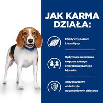 hill's prescription diet - Hill's sausas maistas Prescription Diet r/d Canine, 4 kg - 2 nuotrauka
