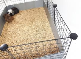 narvas - C&C Modular Cage One-storey 4x2 & Loft 2x1, 1450 mm x 750 mm x 750 mm - 2 nuotrauka