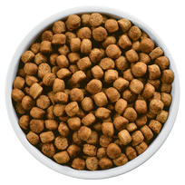 3 kg svoriai - Hill's PRESCRIPTION DIET w/d maistas šunims su vištiena, 10 kg - 2 nuotrauka
