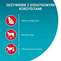 nestle - PURINA One Sterilcat Jautiena 9.75 kg - 5 nuotrauka