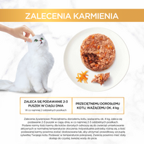 pyragas - PURINA GOURMET GOLD Skanus pyragas - šlapias kačių maistas - 48x85 g - 5 nuotrauka