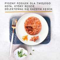 pyragas - PURINA GOURMET GOLD Skanus pyragas - šlapias kačių maistas - 48x85 g - 8 nuotrauka