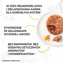 pyragas - PURINA GOURMET GOLD Skanus pyragas - šlapias kačių maistas - 48x85 g - 10 nuotrauka