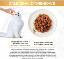24 85 - PURINA GOURMET GOLD gabalėliai padaže mišinyje iš 4 skonių - šlapias kačių maistas - 96x85g - 3 nuotrauka