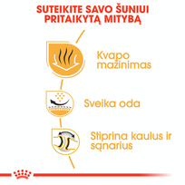 royal canin sausas maistas buldog - Royal Canin Bulldog Adult 12 kg - 4 nuotrauka