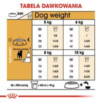 royal canin jack russell terrier - Royal Canin Jack Russell Terrier Adult 7.5 kg - 6 nuotrauka