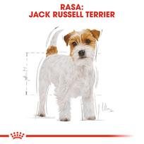 royal canin jack russell terrier - Royal Canin Jack Russell Terrier Adult 7.5 kg - 7 nuotrauka