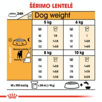raselo terrier - Royal Canin Jack Russell Adult 1,5 kg - 2 nuotrauka
