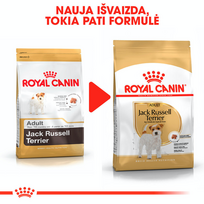 raselo terrier - Royal Canin Jack Russell Adult 1,5 kg - 4 nuotrauka