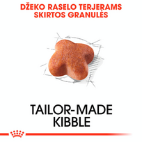 raselo terrier - Royal Canin Jack Russell Adult 1,5 kg - 5 nuotrauka