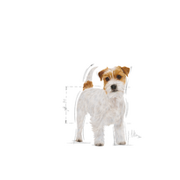 raselo terrier - Royal Canin Jack Russell Adult 1,5 kg - 7 nuotrauka