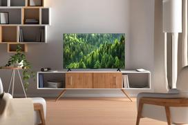 300 x 300 televizoriaus - TCL 50S5L QLED - 7 nuotrauka