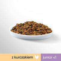 perfect fit kaciu - Perfect Fit maistas jaunoms katėms su vištiena, 750 g - 4 nuotrauka