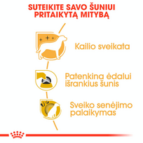 jorksyro - Sausas Šunų Maistas - ROYAL CANIN Jorkšyro Terjeras, 500g Vištiena - 4 nuotrauka
