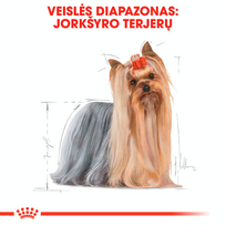 jorksyro - Sausas Šunų Maistas - ROYAL CANIN Jorkšyro Terjeras, 500g Vištiena - 5 nuotrauka