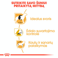 royal canin sunu 12kg - Royal Canin Beagle Adult 12 kg - 3 nuotrauka