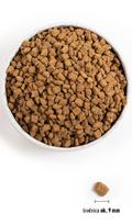 sunu maistas orijen - Sausas šunų maistas Orijen Small Bites, vištiena/kalakutiena, 4.5 kg - 2 nuotrauka