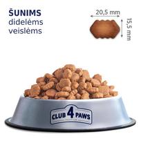 suniukai - Club 4 Paws Large Breeds sausas pašaras didelių veislių šunims, 14 kg - 6 nuotrauka