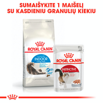 royal canin sausas maistas katems - Royal Canin Indoor Long Hair 10 kg - 2 nuotrauka