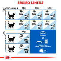 royal canin sausas maistas katems - Royal Canin Indoor Long Hair 10 kg - 3 nuotrauka