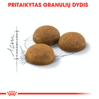 royal canin sausas maistas katems - Royal Canin Indoor Long Hair 10 kg - 5 nuotrauka