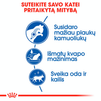 royal canin sausas maistas katems - Royal Canin Indoor Long Hair 10 kg - 6 nuotrauka