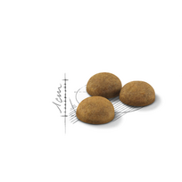 royal canin sausas maistas katems - Royal Canin Indoor Long Hair 10 kg - 8 nuotrauka