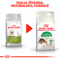 royal canin sausas maistas katems - Royal Canin Outdoor 30 10 kg - 2 nuotrauka