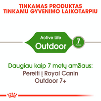 royal canin sausas maistas katems - Royal Canin Outdoor 30 10 kg - 3 nuotrauka