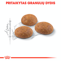royal canin sausas maistas katems - Royal Canin Outdoor 30 10 kg - 5 nuotrauka