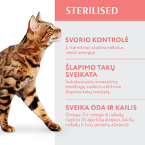avizos - OPTIMEAL™. Visavertis sausas maistas sterilizuotoms katėms ir kastruotiems katinams su kalakutiena ir avižomis. 1,5 kg - 3 nuotrauka