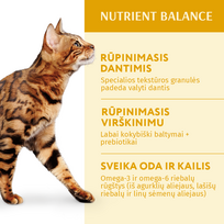 optimeal sausas maistas katems 4 kg - OPTIMEAL™. Visavertis sausas maistas suaugusioms katėms su vištiena, 4 kg - 3 nuotrauka