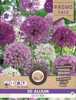 Svogūninės gėlės dekoratyvinis česnakas DECO MIX, 10 - 12 mm, 20 vnt.