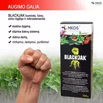 rugstis - Augimo stimuliatorius BLACK JAK, 100 ml - 2 nuotrauka