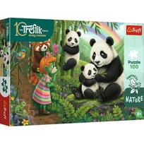 Trefl Inspired By Nature Panda 16595, 100 det.