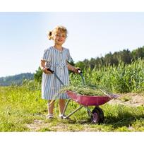 vezimeliai milli - Rolly Toys 274802 rožinis (Pink) metalinis vaikiškas karutis - 5 nuotrauka